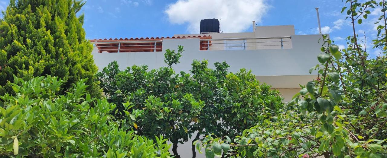 Villa Elli Limenas Chersonisou Exterior foto